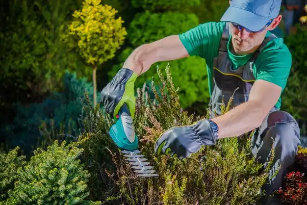 landscaping services Christiansburg